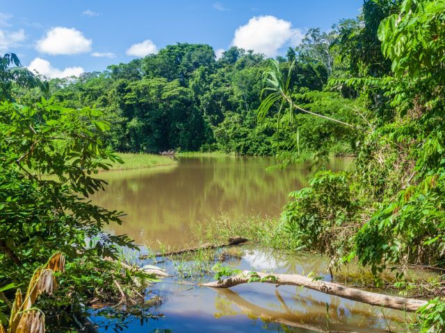 Fluss im Madidi-Nationalpark in Bolivien.