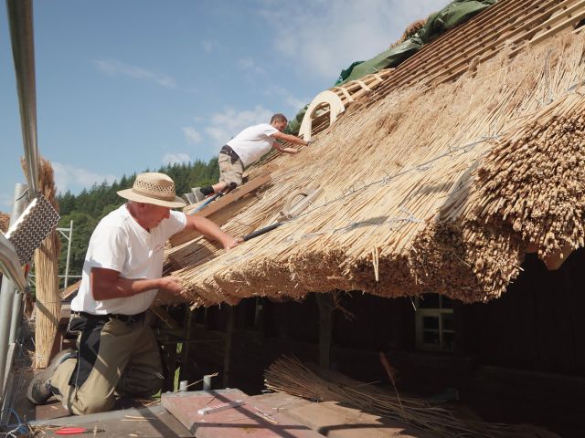 Hier wird ein Dach auf traditionelle Weise mit Reet gedeckt, also mit getrocknetem Schilfrohr.  