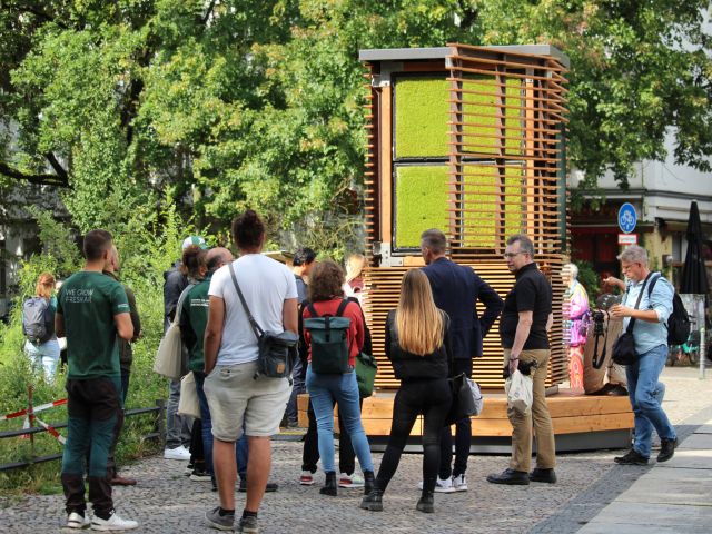 Der „City-Tree“ kann seine Umgebungstemperatur um vier Grad senken.