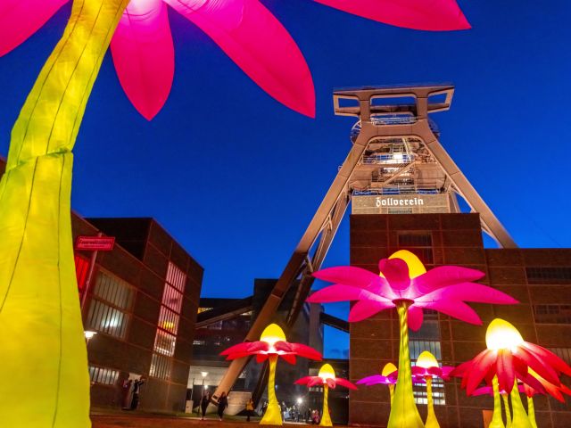 Kulturfestival in der Zeche Zollverein in Essen (2024) 