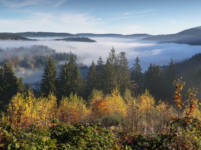 Verwunschen – emotionaler Blick auf den Schwarzwald