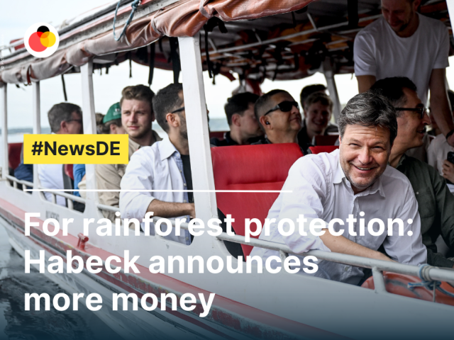 For rainforest protection: Habeck announces more money