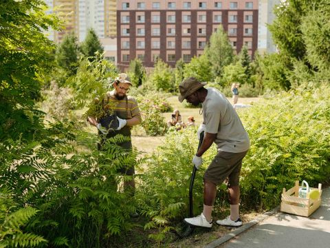 Urban Gardening ist in Deutschland sehr beliebt. 