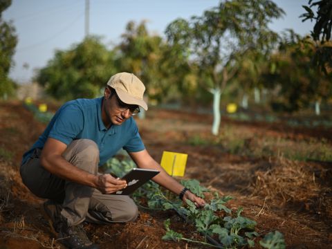 Landwirt in Indien: Chancen der Datennutzung 