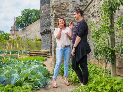 In Andernach gibt es Gemüse und Obst zur freien Verfügung. 