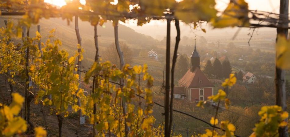 Overnight stays rise in Germany Overnight stays rise in Germany