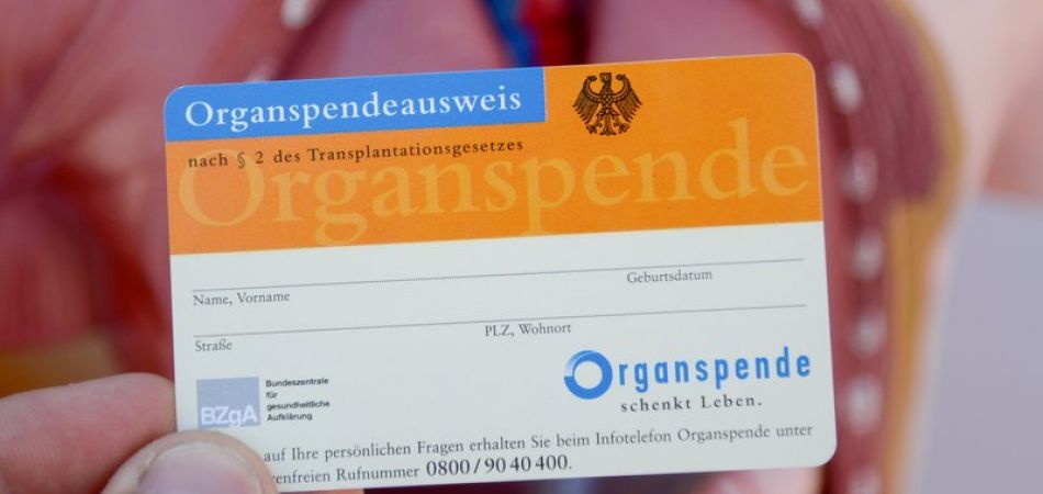 Leichter Rückgang bei Organspenden Leichter Rückgang bei Organspenden