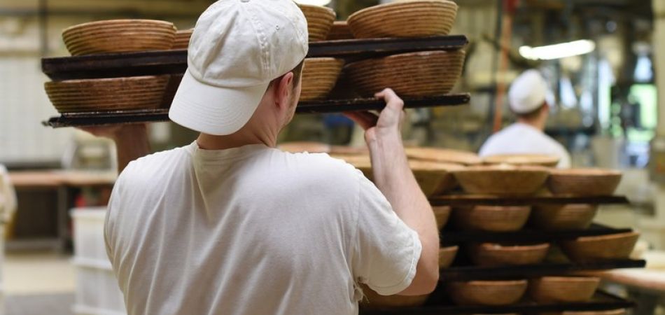 Organic bakers show steady growth Organic bakers show steady growth