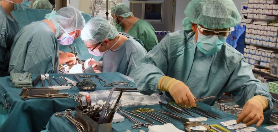 Number of organ donors declines Number of organ donors declines