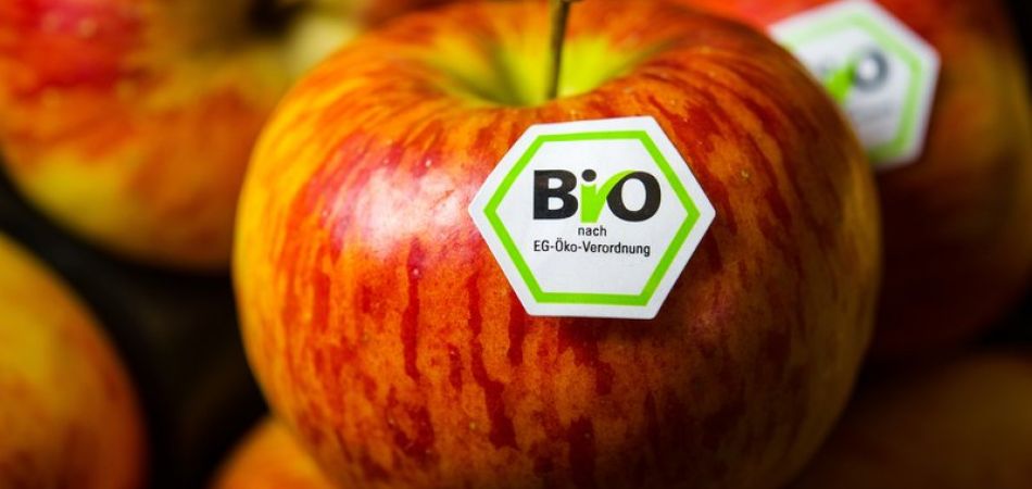 Bio-Boom im Lebensmittelhandel Bio-Boom im Lebensmittelhandel