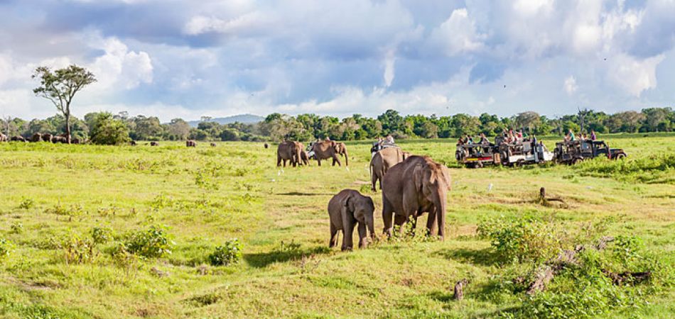 botswana image