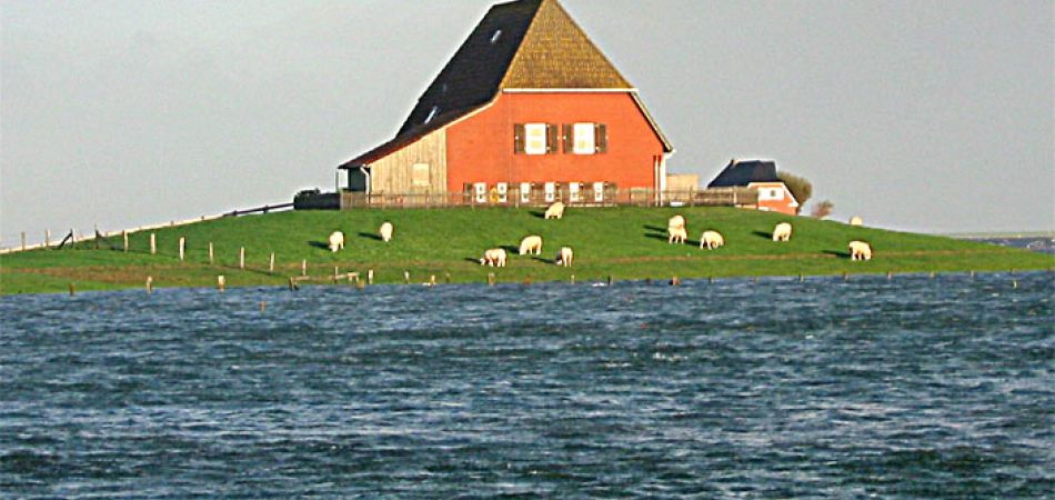 Entdecke DE: Die Halligen