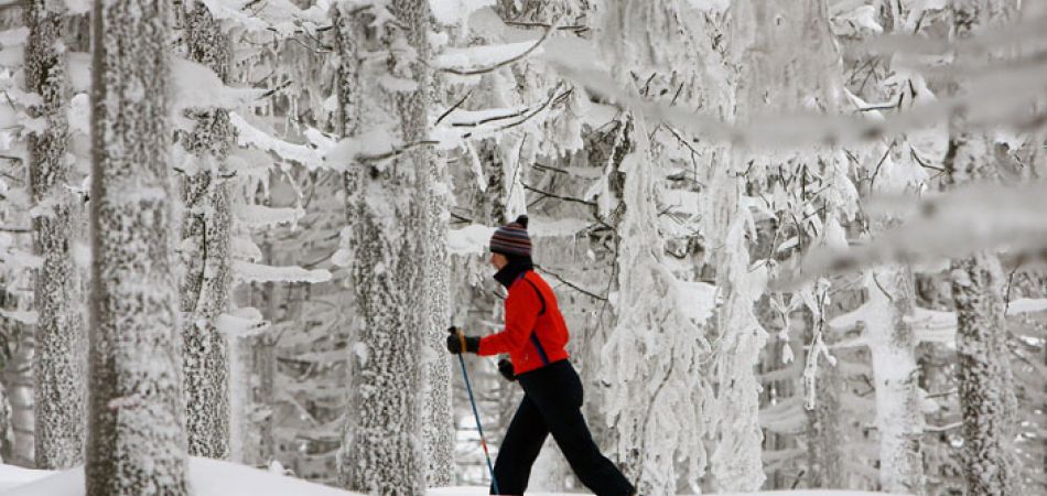picture-alliance/dpa - Winter sports in Germany picture-alliance/dpa - Winter sports in Germany