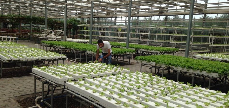 H2o Farm Palestine
