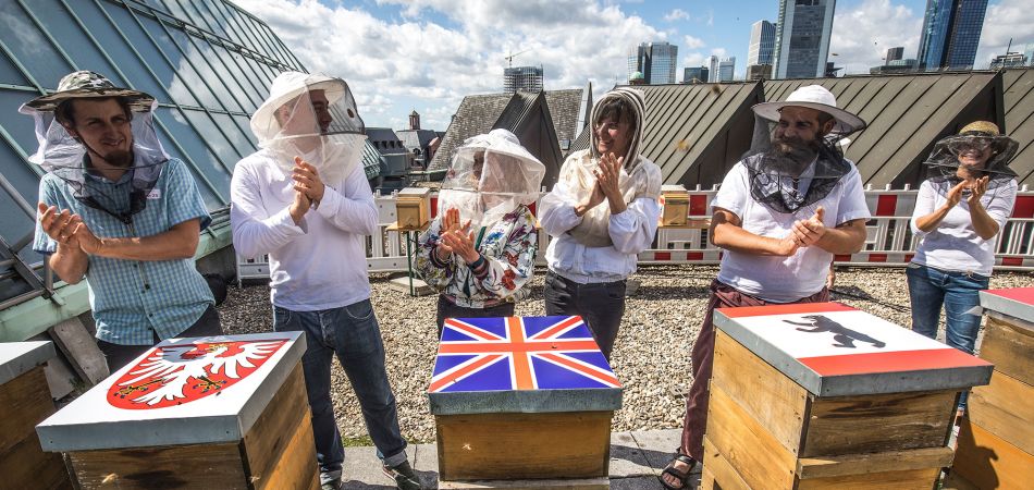 Carrera internacional de abejas en Fráncfort: aplauso para las competidoras. Carrera internacional de abejas en Fráncfort: aplauso para las competidoras.