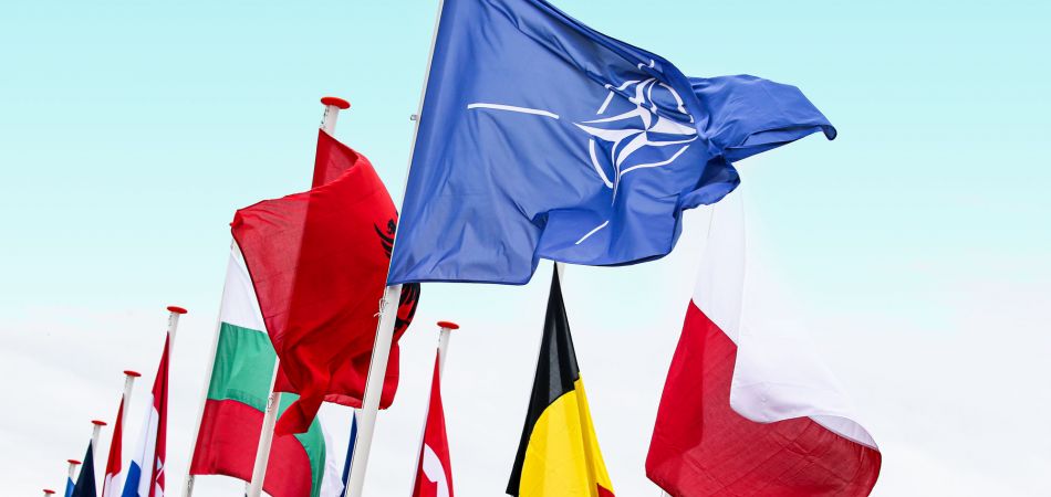 The NATO flag The NATO flag