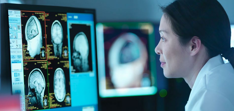 Neurowissenschaft Neurowissenschaft