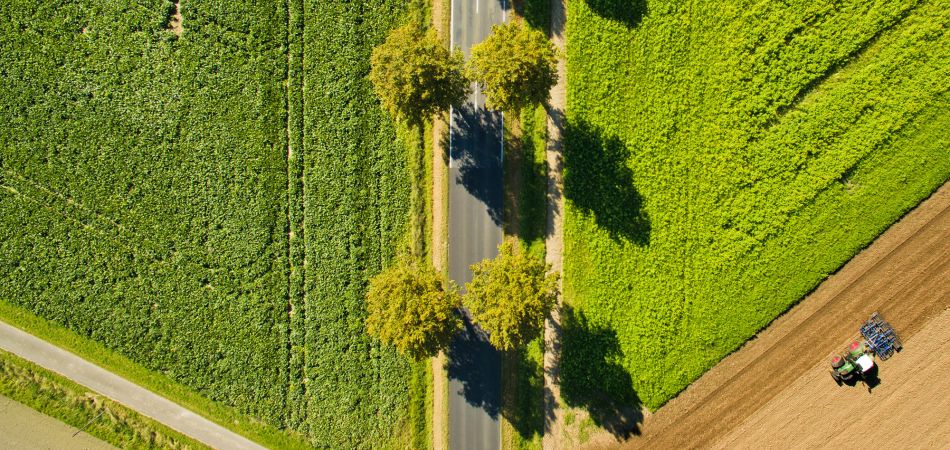 Die Natur leidet in landwirtschaftlichen Regionen Die Natur leidet in landwirtschaftlichen Regionen