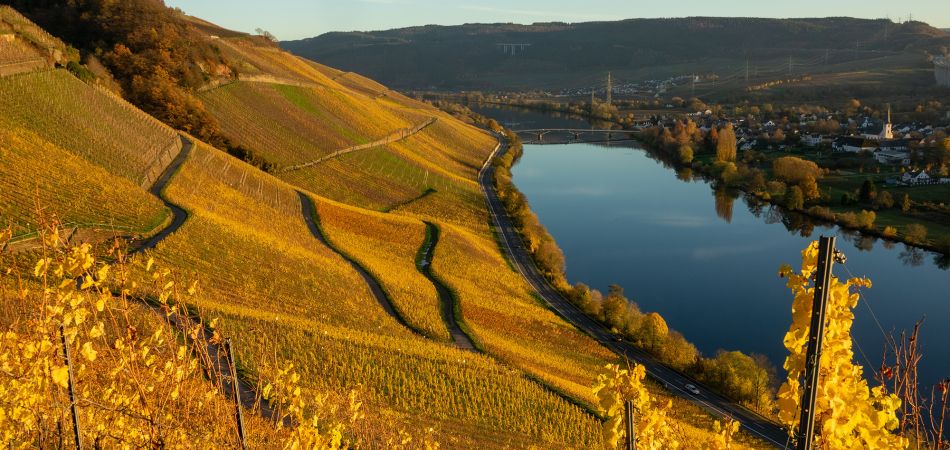 Mehr deutscher Wein verkauft Mehr deutscher Wein verkauft