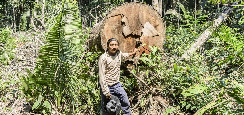 "Ich erwarte mehr Engagement im Amazonas" "Ich erwarte mehr Engagement im Amazonas"