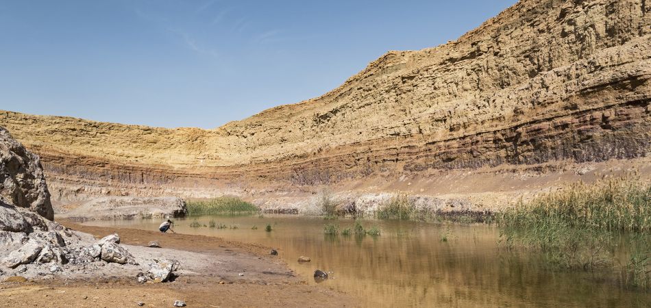 Israel ist weltweit führend im Abwasserrecycling. Israel ist weltweit führend im Abwasserrecycling.