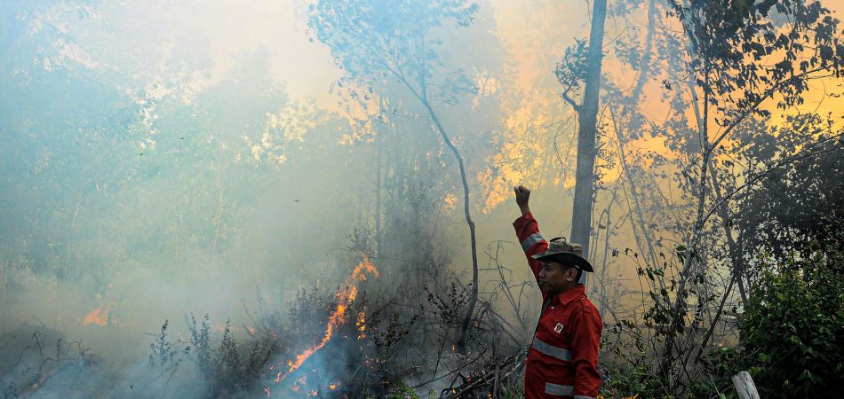 Indonesischer Feuerwehrmann beim Einsatz auf Sumatra Indonesischer Feuerwehrmann beim Einsatz auf Sumatra