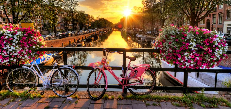 Bike country Netherlands: why the bicycle is so popular