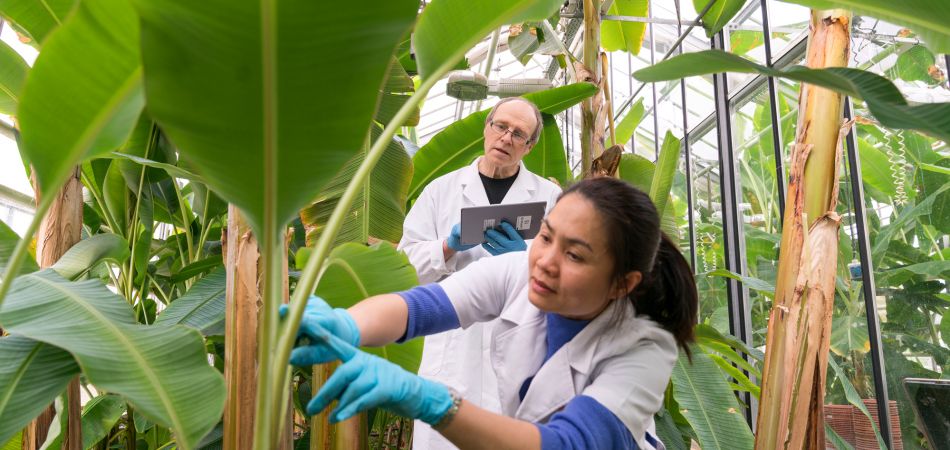 Studying agricultural science in Germany