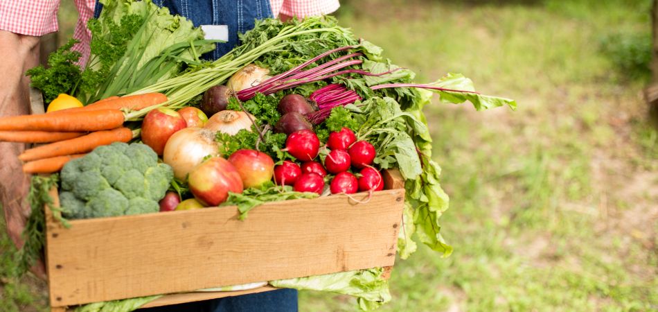 How Germany is promoting organic farming