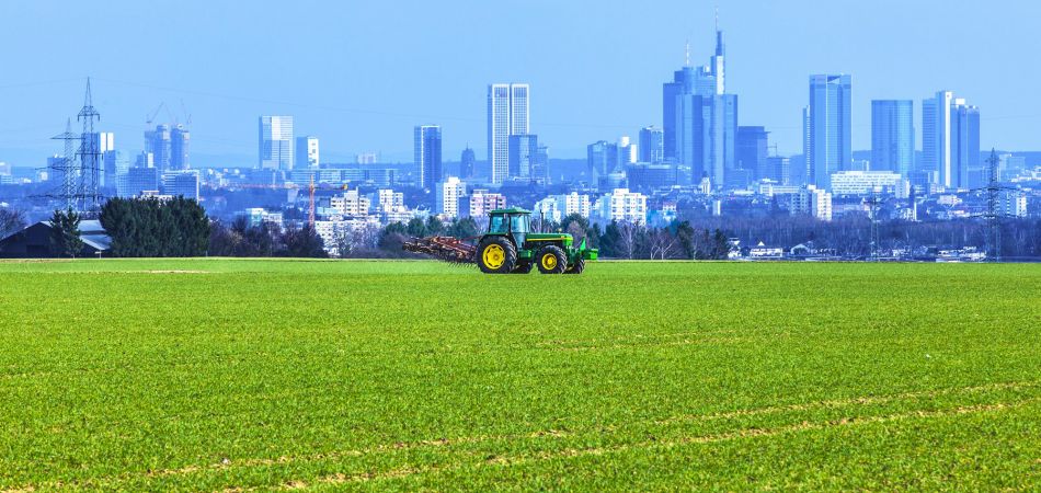 Attractive contrast: farming in front of the Frankfurt skyline Attractive contrast: farming in front of the Frankfurt skyline