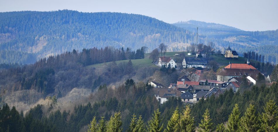 Wald in Deutschland: der Harz Wald in Deutschland: der Harz