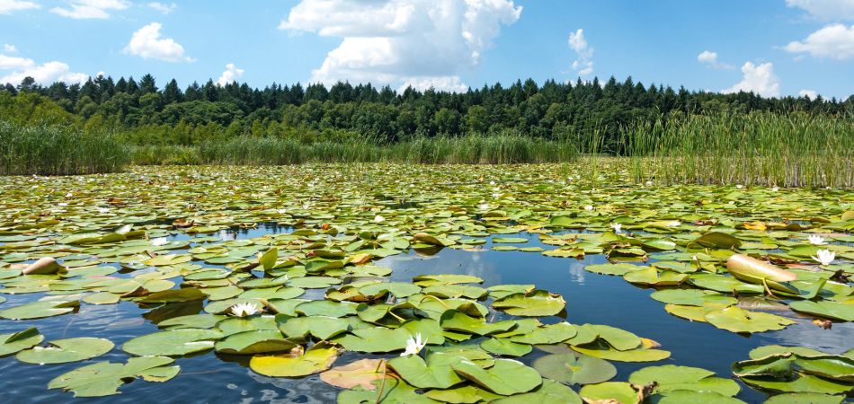 Naturschutzgebiete in Deutschland Naturschutzgebiete in Deutschland