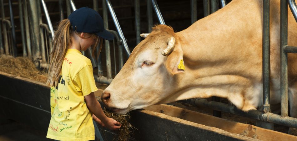 Animal welfare initiatives in Germany