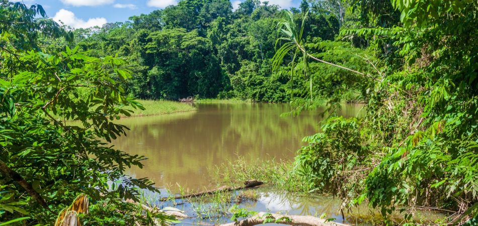 Rio no Parque Nacional Madidi na Bolívia. Rio no Parque Nacional Madidi na Bolívia.