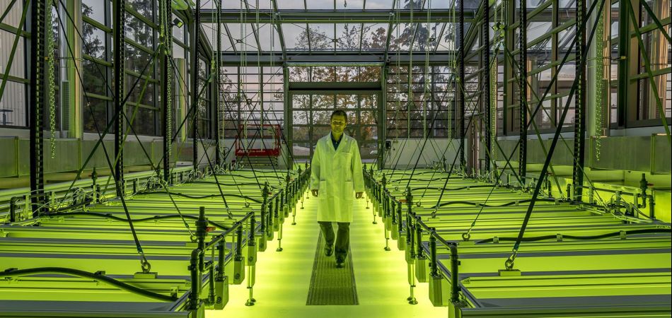 O laboratório Algentechnikum da TU de Munique O laboratório Algentechnikum da TU de Munique