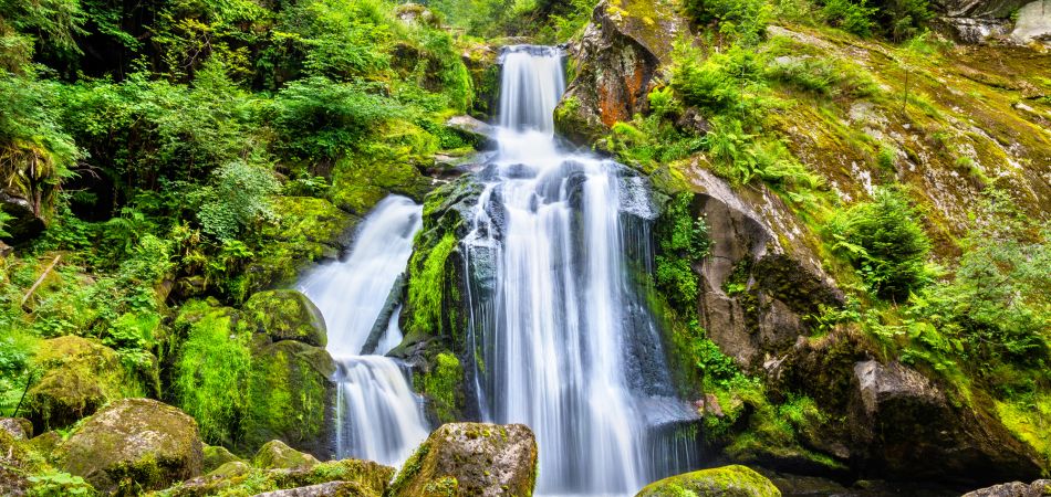 A natureza floresce: cascata na Floresta Negra A natureza floresce: cascata na Floresta Negra