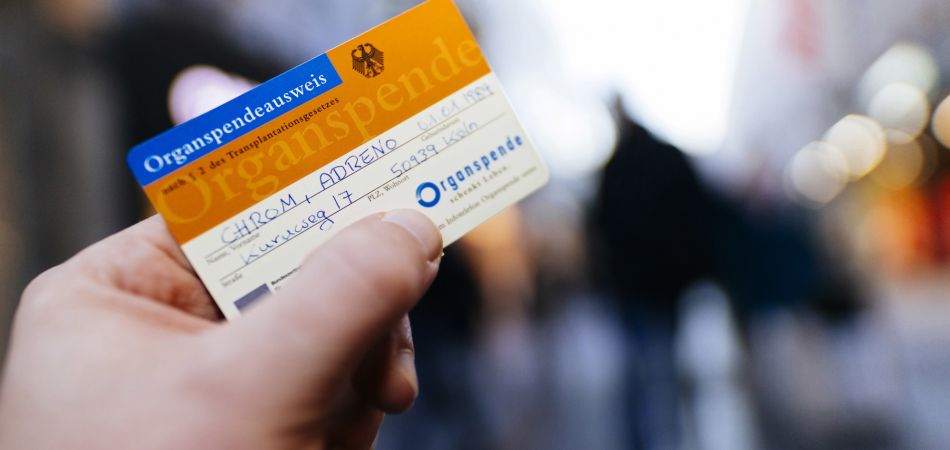 740.000 documentos de donación de órganos fueron registrados en enero de 2020. 740.000 documentos de donación de órganos fueron registrados en enero de 2020.