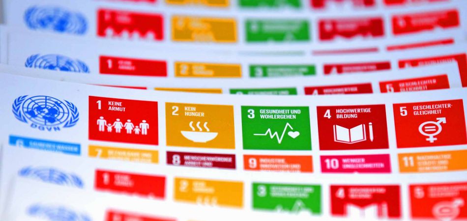 La Durabilite La Strategie Allemande De Developpement Durable
