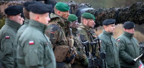 Des soldats allemands et polonais se tiennent en rang les uns à côté des autres.