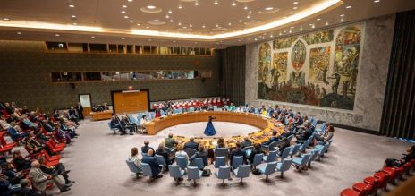 The UN Security Council in New York 