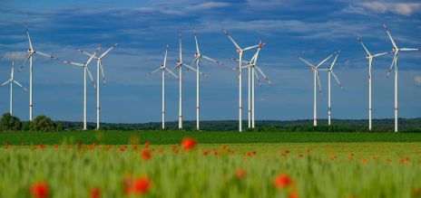 Plusieurs éoliennes produisent de l’électricité écologique à partir d’énergies renouvelables sur une surface agricole.
