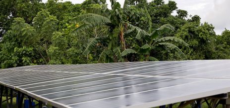 Solar cells in the Indonesian forest