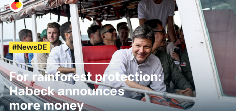 For rainforest protection: Habeck announces more money
