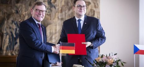 Frank-Walter Steinmeier (g.) et Gintautas Paluckas