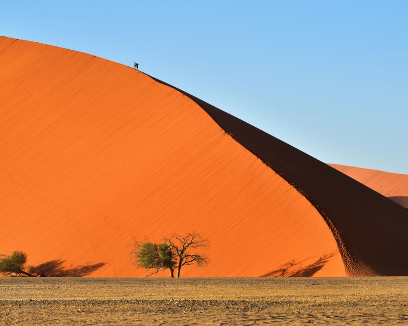 Sonnenaufgang über der Düne 45 in Namibia