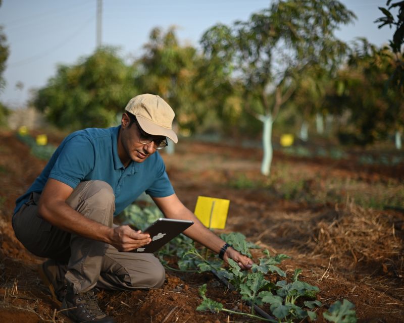 Landwirt in Indien: Chancen der Datennutzung 