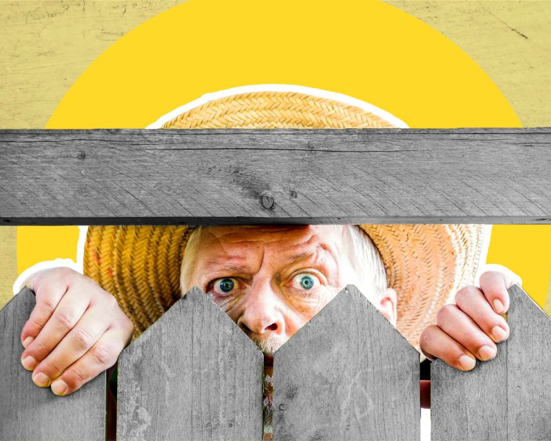 Schnitzel & Smalltalk