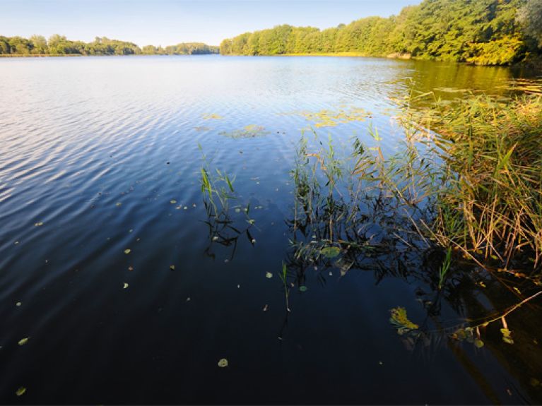 picture-alliance/dpa Zentralbild - Ecotourism picture-alliance/dpa Zentralbild - Ecotourism
