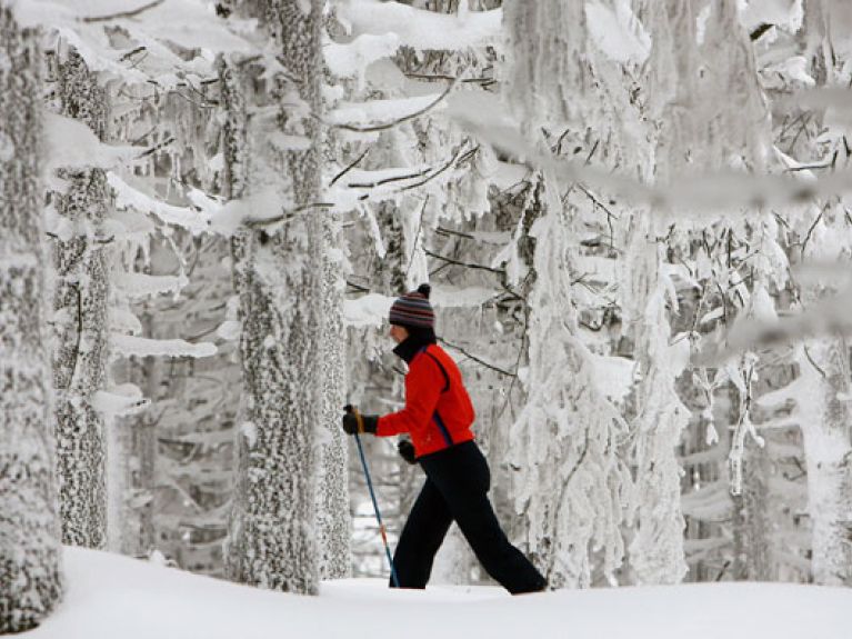 picture-alliance/dpa - Winter sports in Germany