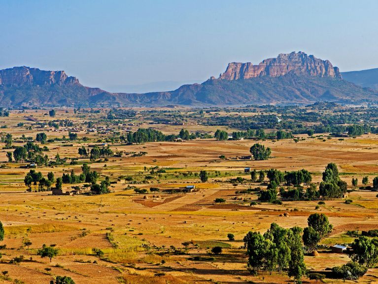 Agriculture en Ethiopie